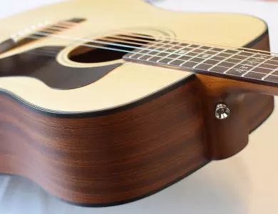 مشخصات و ویژگی های گیتار ریموندو ms801ce